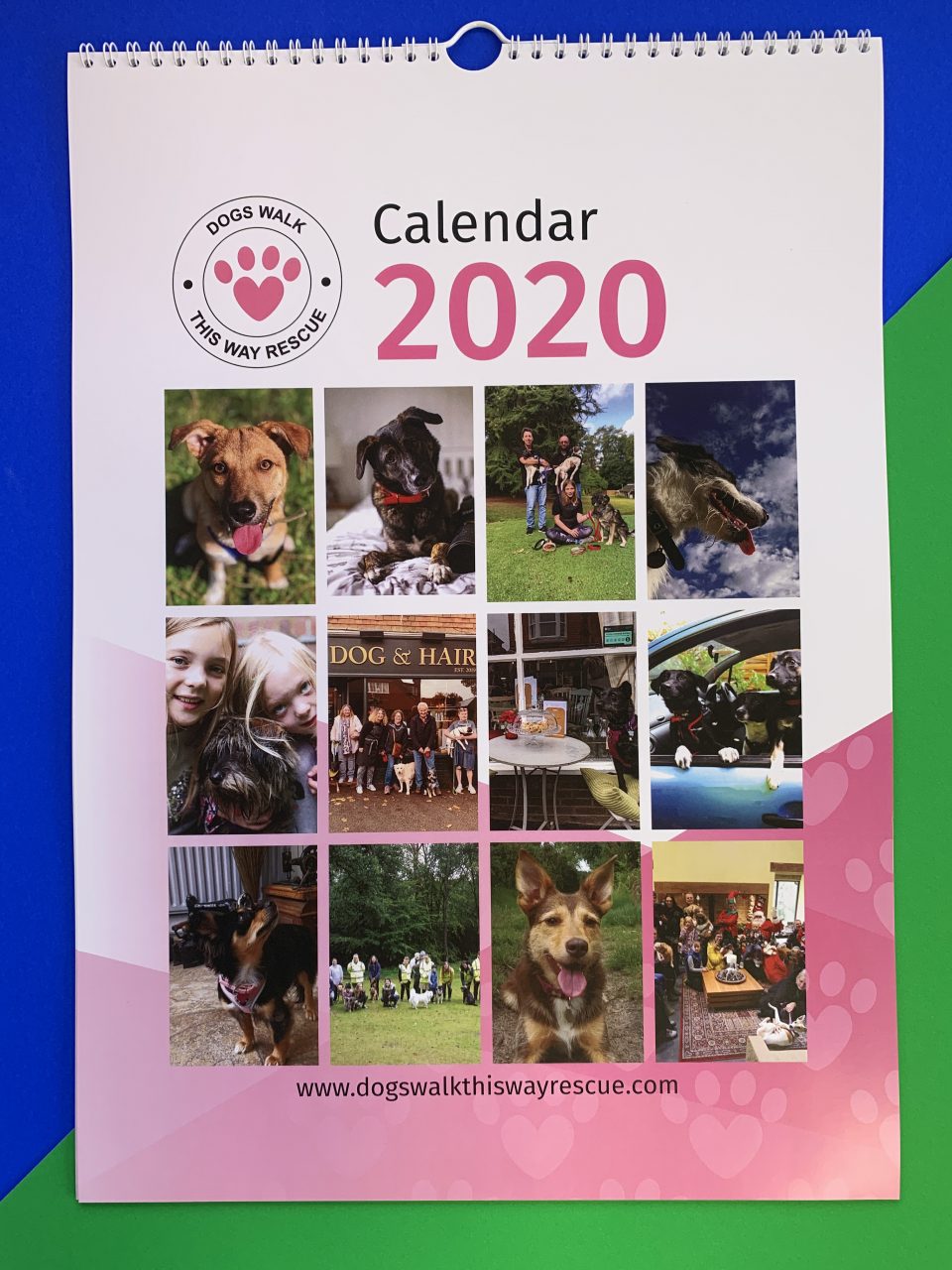 Charity Calendars for Dogs Walk This Way Rescue Printroom